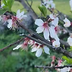 Lägenhet Con Encanto Entre Naturaleza, Rutas Y Bodegas - Casa Albanil *