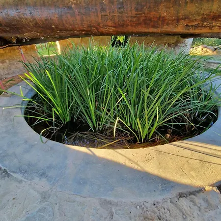 Casa Albanil Lejlighed