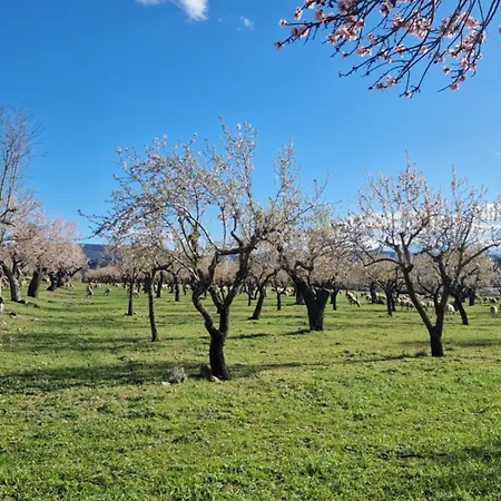 Casa Albanil, Aptos En La Ribagorza, Arte, Ciclismo, Naturaleza Y Enoturismo, Entre Graus Y Torreciudad Apartment