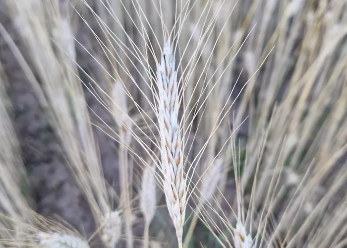Con Encanto Entre Naturaleza, Rutas Y Bodegas - Casa Albanil Appartement *