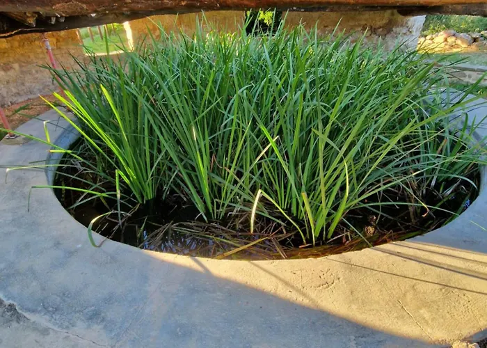 Casa Albañil Apartamento