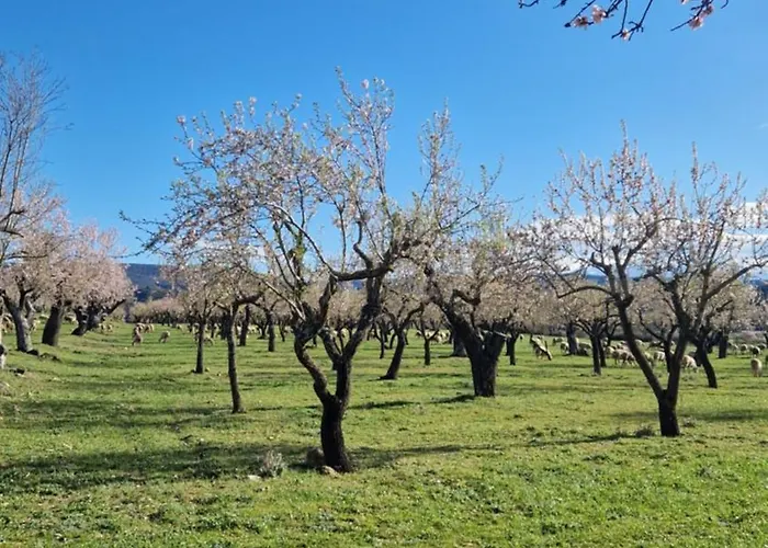 Con Encanto Entre Naturaleza, Rutas Y Bodegas - Casa Albanil Appartement