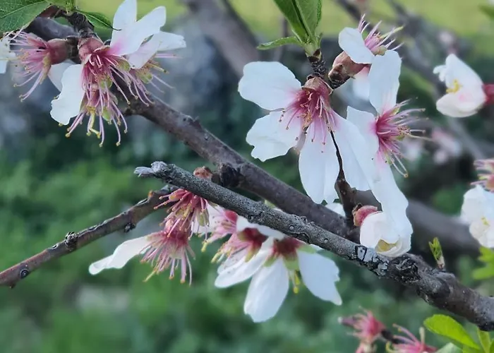 Appartement Con Encanto Entre Naturaleza, Rutas Y Bodegas - Casa Albanil *